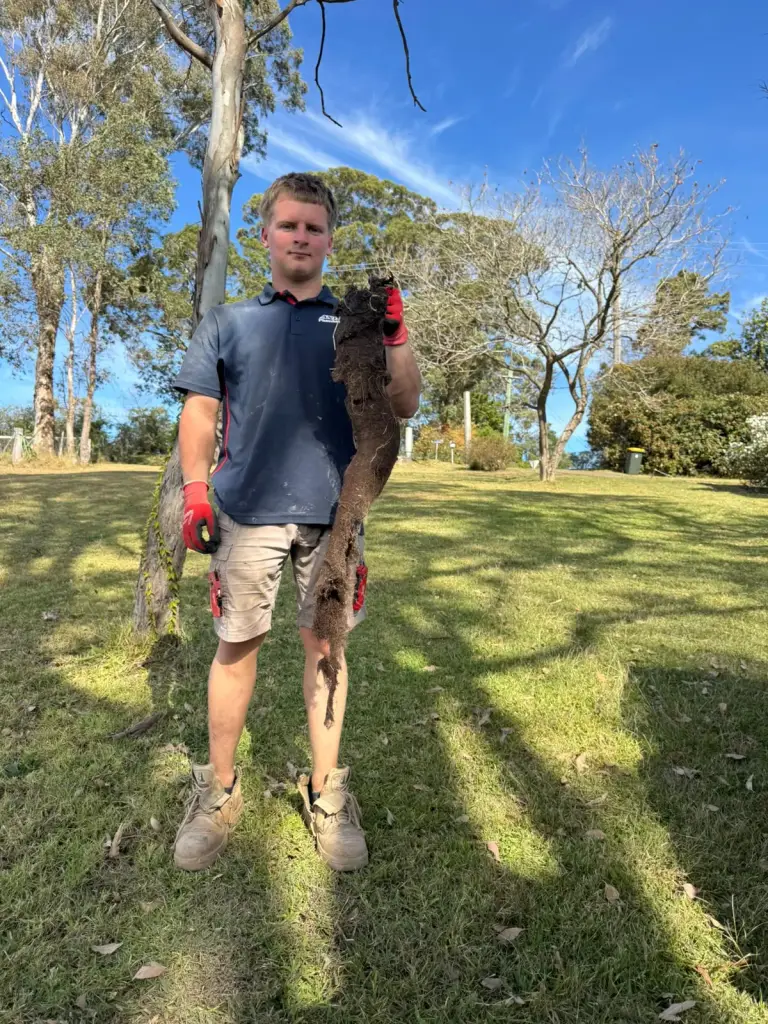 Antons technician holding a long root mass removed from drainage